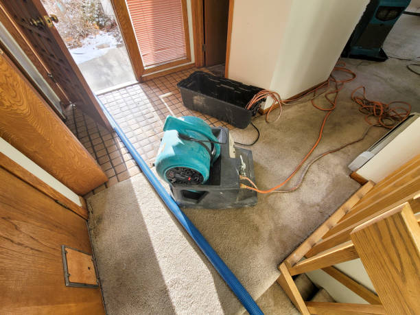 Best 24/7 water damage repair  in Brinckerhoff, NY