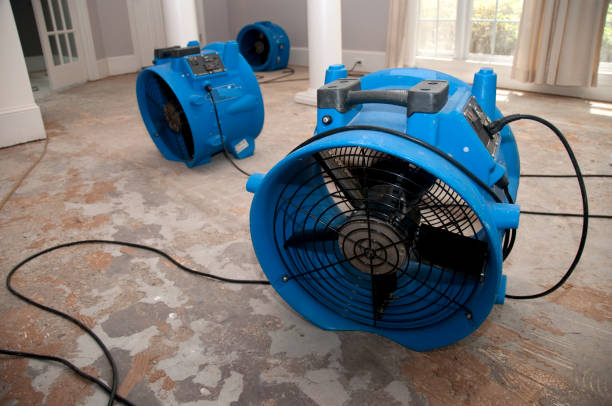 Best Water damage cleanup near me  in Brinckerhoff, NY