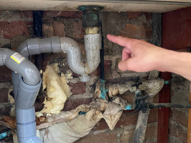 Best Mold removal after water damage  in Brinckerhoff, NY