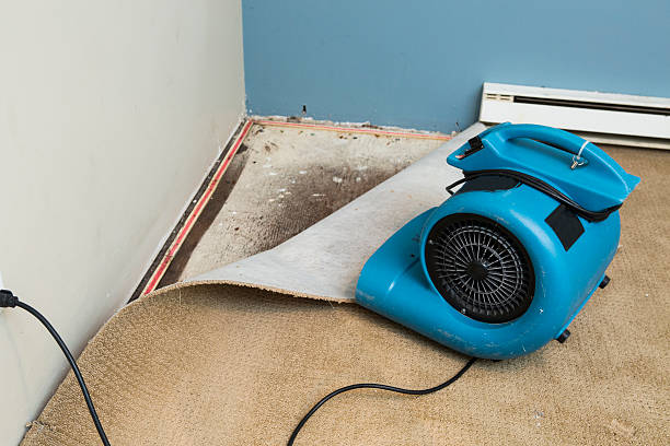 Best Water damage restoration near me  in Brinckerhoff, NY